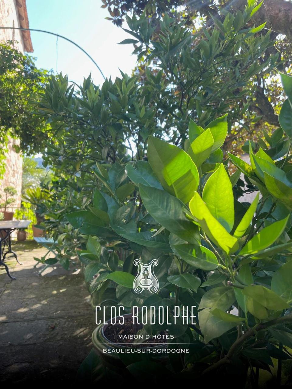 Le Clos Rodolphe Beaulieu-sur-Dordogne Bagian luar foto